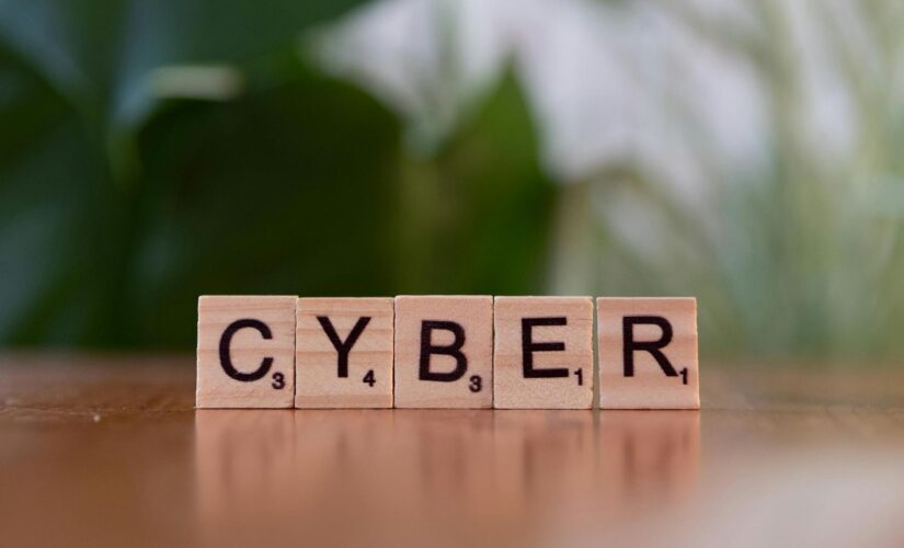 Como Assegurar Direitos Trabalhistas e Previdenciários no Brasil: Um Guia para o Desenvolvimento Profissional na Carreira Jurídica