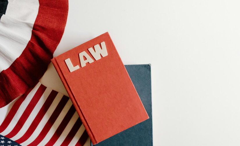 Garantia de Direitos Trabalhistas: Dicas Essenciais para Profissionais em Desenvolvimento no Mercado de Trabalho