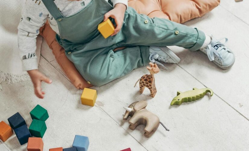 Brinquedos que Estimulam Aprendizado: Como Escolher para o Desenvolvimento Infantil Ideal