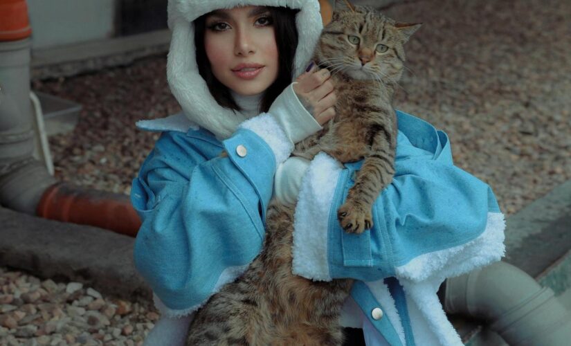 Como Escolher o Agasalho Ideal para Seu Pet: Conforto e Estilo no Inverno