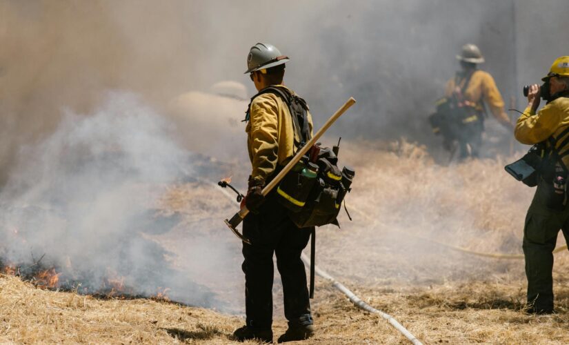 Habilidades Essenciais em Gestão de Crises no Controle de Pragas e Desentupimento