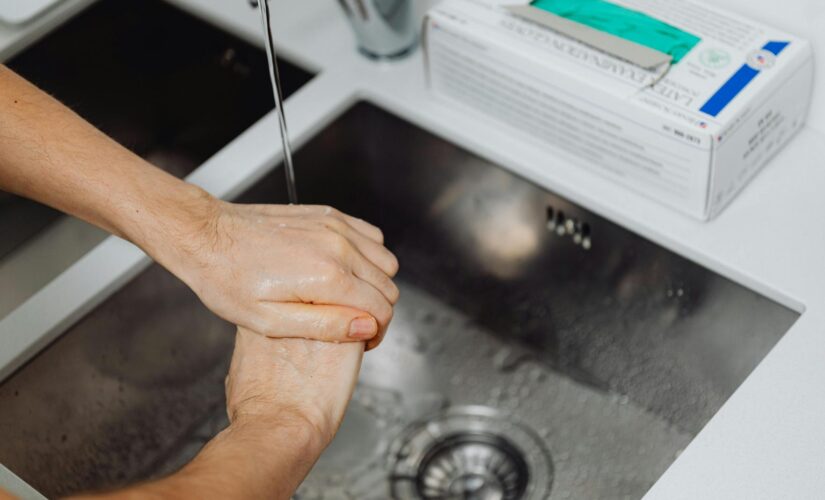 Empreender em Controle de Pragas: Dicas e Estratégias para o Sucesso no Setor