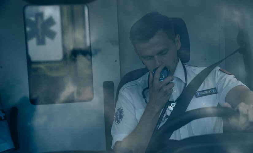 Iniciar uma Empresa de Dedetização: Dicas e Estratégias para Empreender com Sucesso