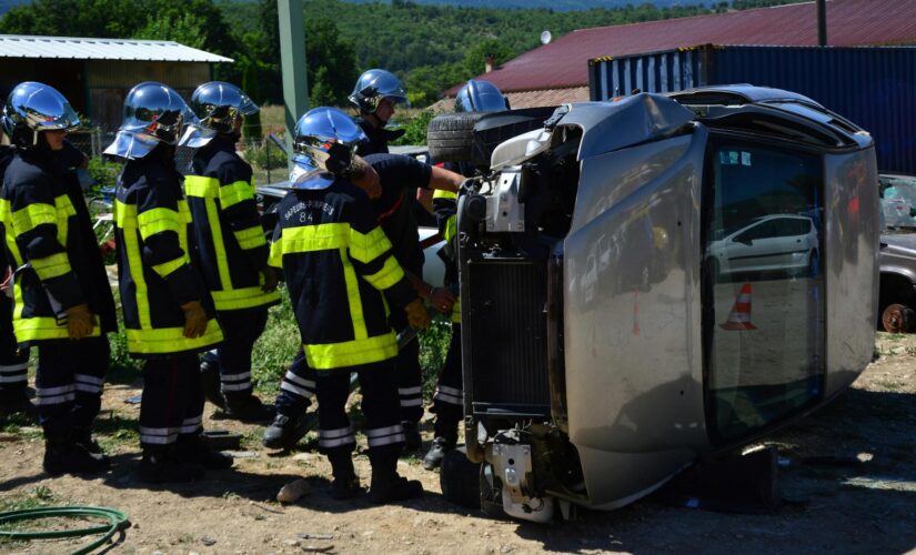Estratégias de Sucesso no Negócio de Controle de Pragas 24 Horas