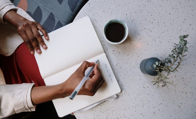 Guia Completo: Como Criar um Plano de Negócios Imbatível