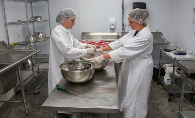 Guia Completo: Manutenção Preventiva de Equipamentos de Cozinha Industrial