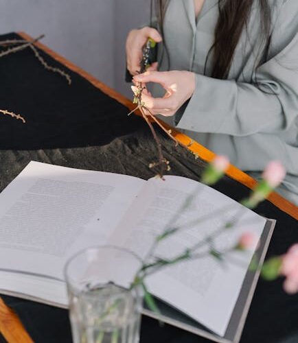 Emergências Domésticas como Oportunidades de Aprendizado: Lições para Negócios, Educação e Bem-Estar