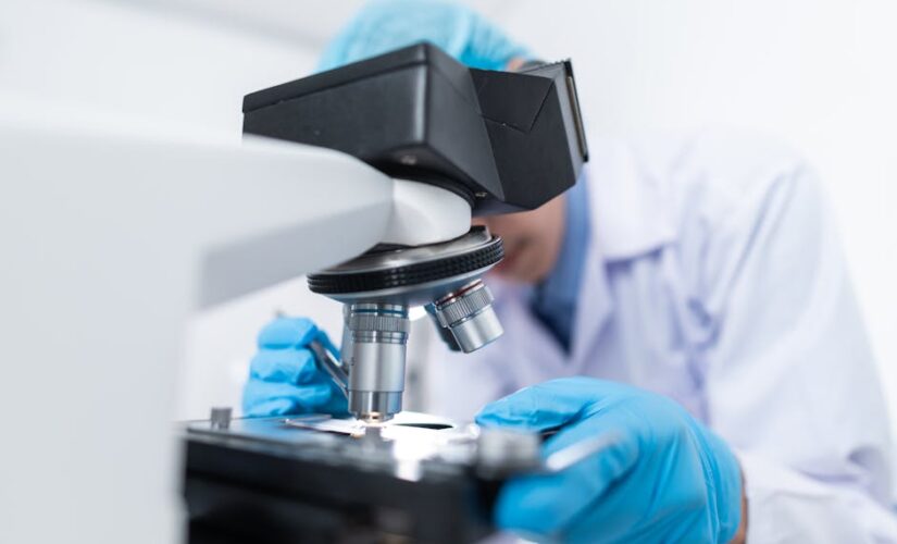 Saúde impulsiona negócios, educação e desenvolvimento