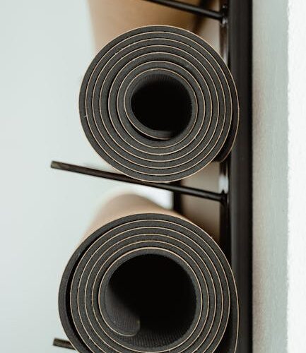 Empreendedorismo Saudável: Conectando Negócios e Bem-Estar através da Educação e Fisioterapia