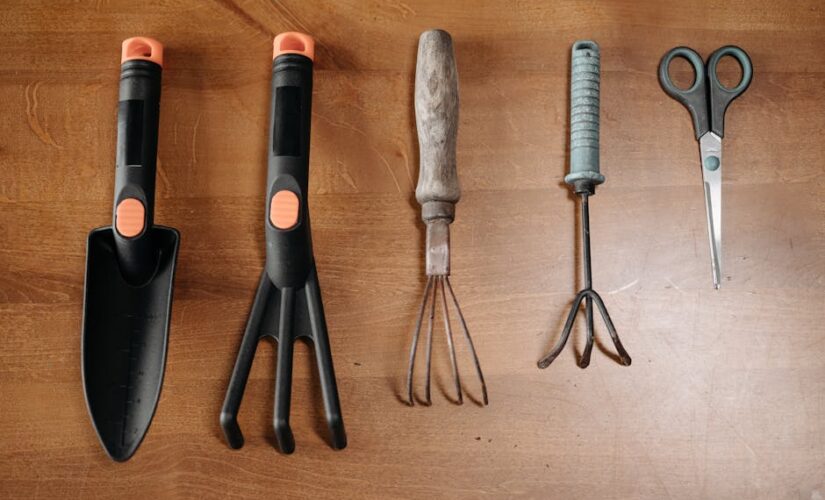 Transforme Seu Espaço: Dicas de Jardinagem para Valorizar Seu Imóvel