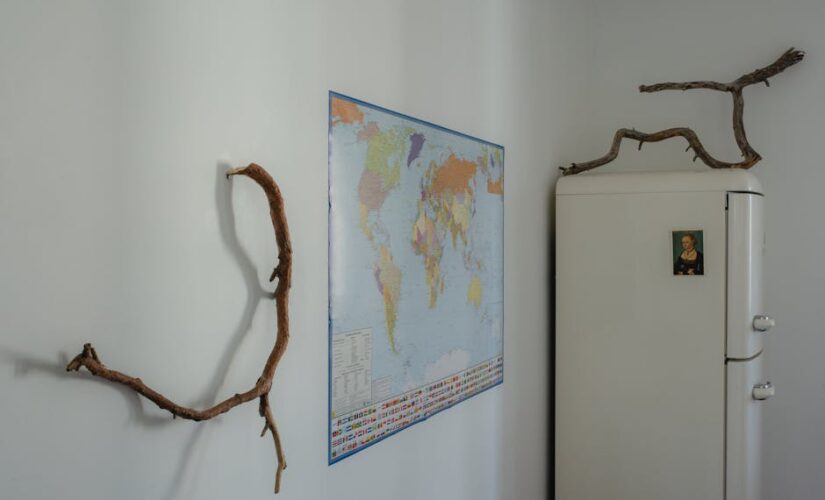 Como o Empreendedorismo Transforma Serviços de Refrigeração na Decoração de Interiores