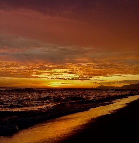 Empreendendo com Sucesso: A Importância da Limpeza nos Negócios da Tijuca